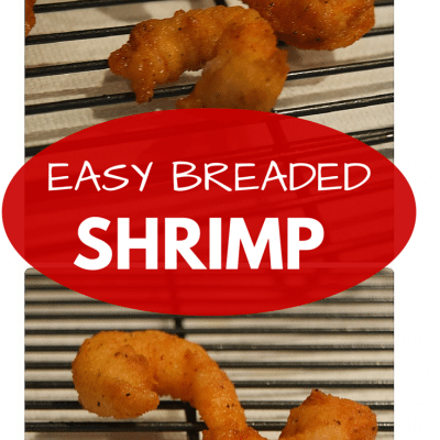 Easy Breaded Shrimp Recipe | Our Home Made Easy