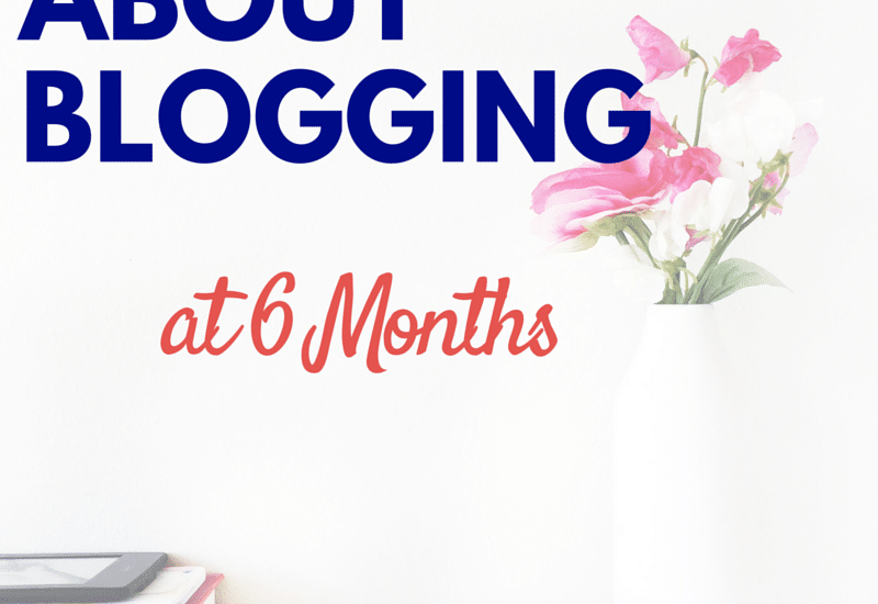 What happens after 6 months of blogging? My experiences so far and what is to come in the next year. Click to read my experiences so far!