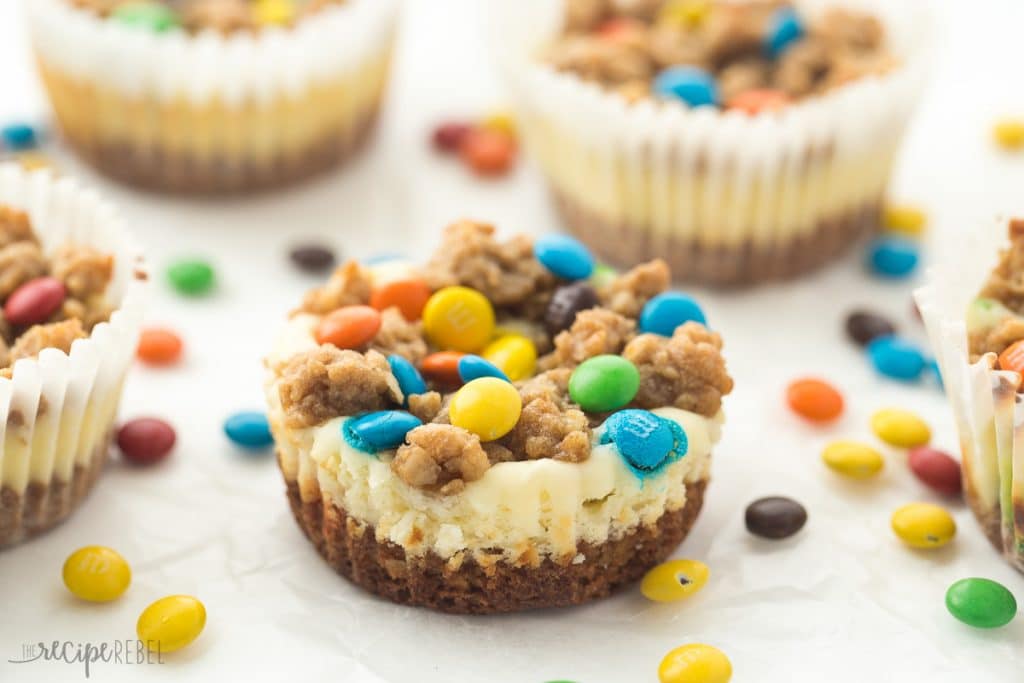 Monster cookie cheesecakes are sinfully sweet, gluten free, and the perfect bite of chocolatey goodness