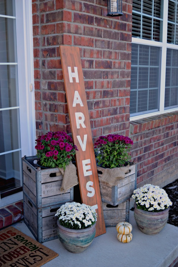 DIY Fall Harvest sign on the front porch surrounded by potted purple and white mums