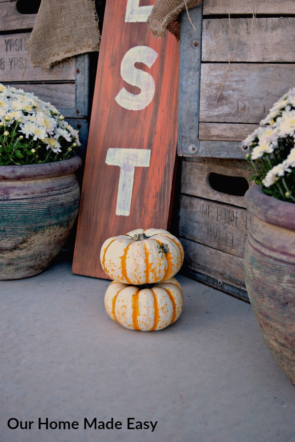 These adorable mini pumpkins are the perfect accents for our Fall front porch