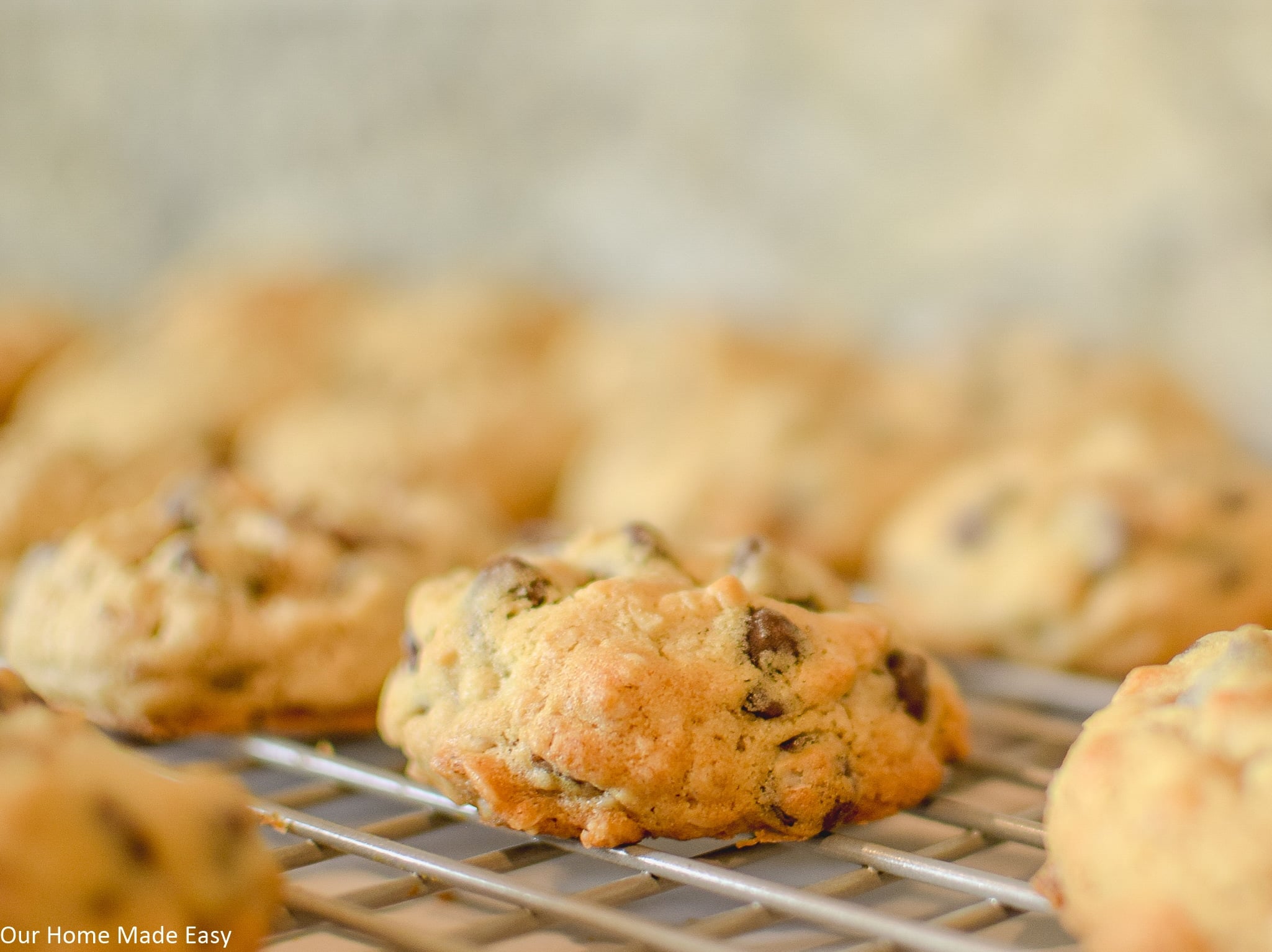 This cowboy cookie recipe is packed with sweet chocolate chips, oats, and pecans