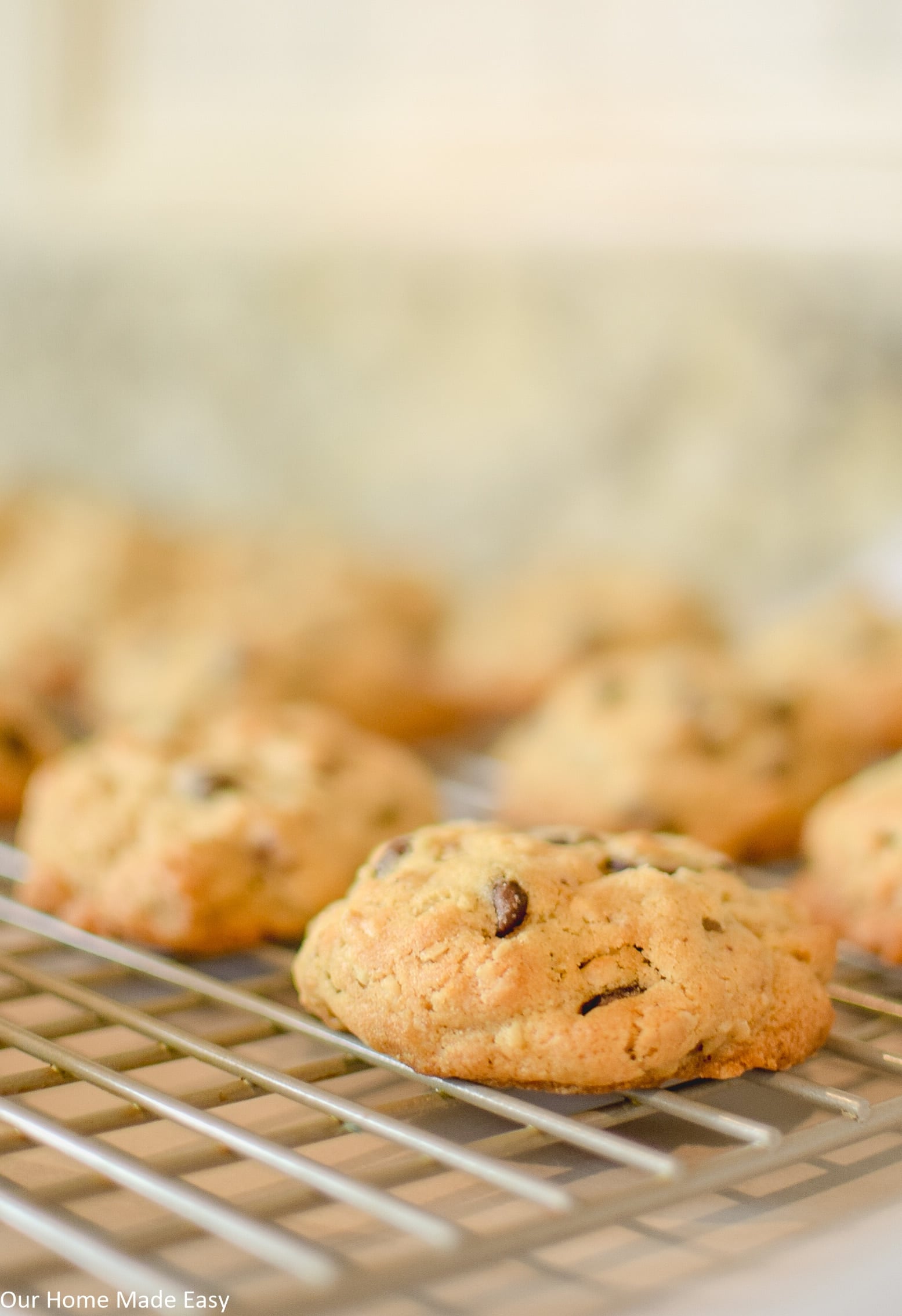 this cowboy cookie recipe is a simple, sweet, and nutty chocolate chip cookie that's too easy to make