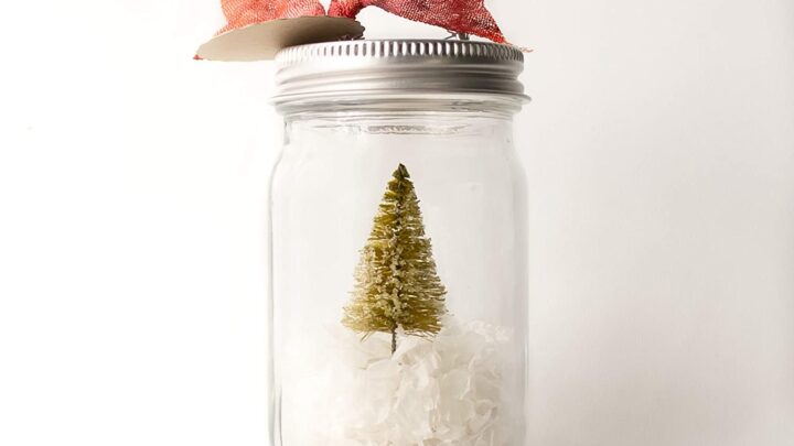 Little Christmas Trees- Tree in a Jar