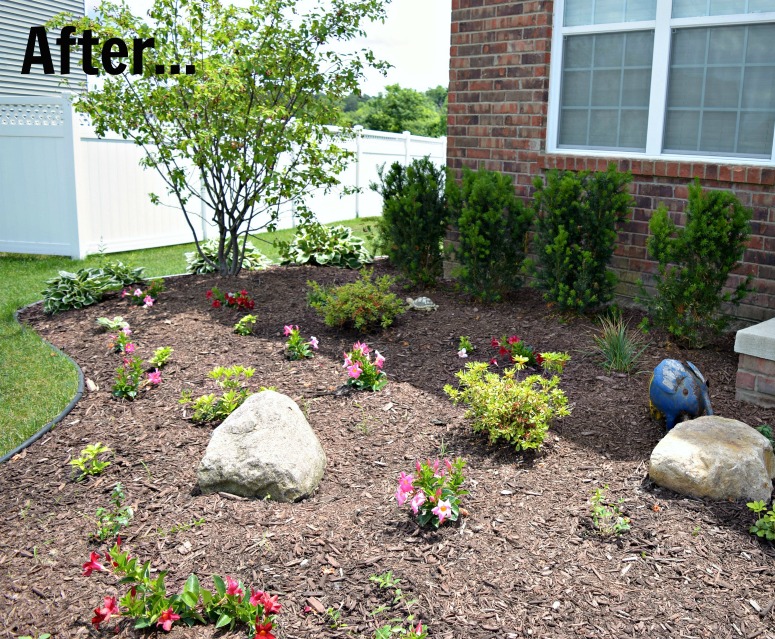 Our refreshed summer flower beds with fresh plants