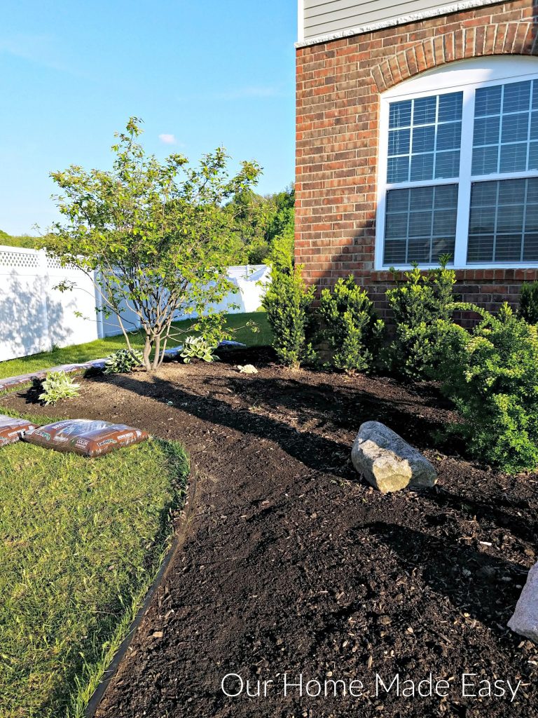 Cleaning up our summer flower beds after a long winter made our front yard look so much more fresh