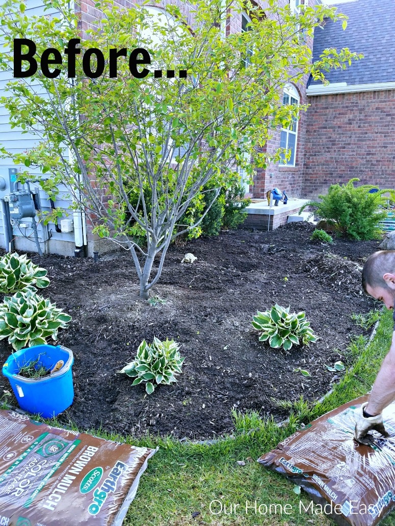 Our summer flower beds needed a lot of TLC after a harsh Midwest winter