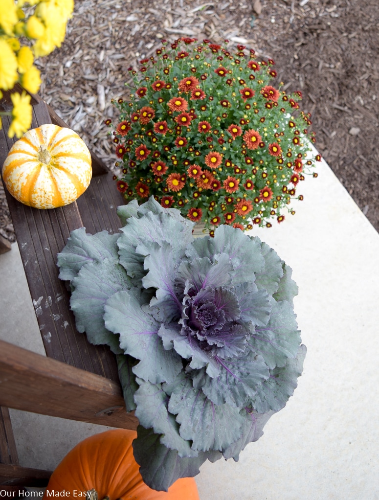 Potted rustic orange mums and ornamental kale plants add a fresh touch to our fall front porch