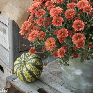 Make your own easy farmhouse planters! They are super quick to make and add so much charm to your flowers outside! Click to see how to DIY them yourself.