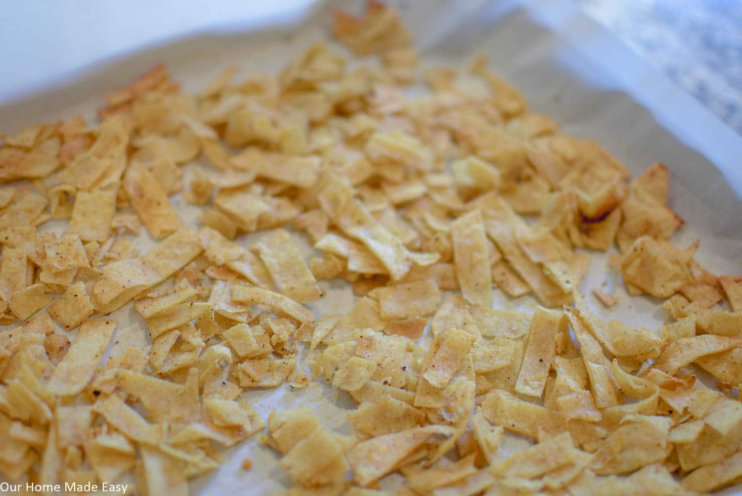 15 Minute Baked Tortilla Strips Recipe