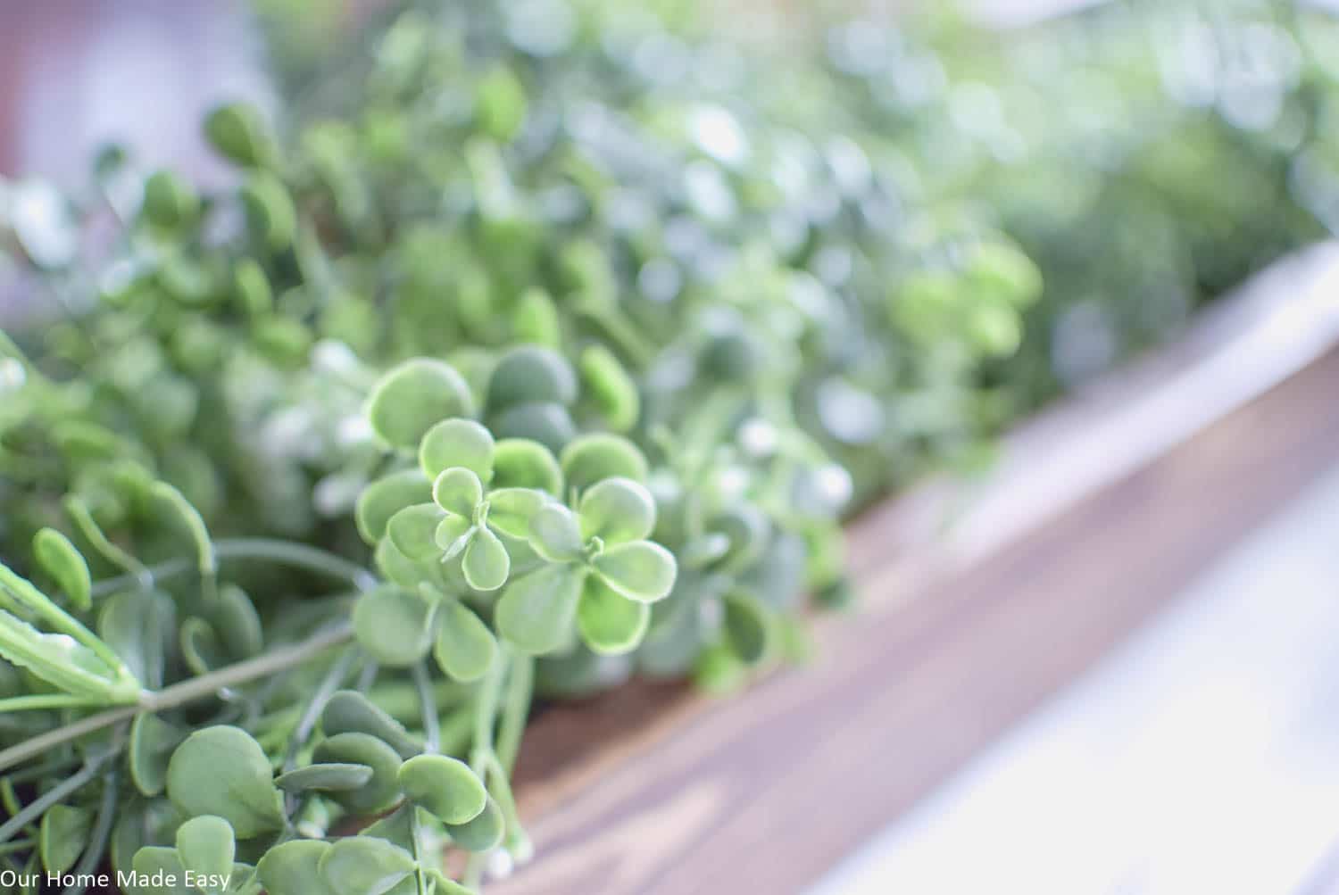 These simple green veins make a perfect, full base for a Spring floral centerpiece.