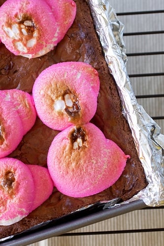These fudgey brownies are topped with toasted marshmallow peeps