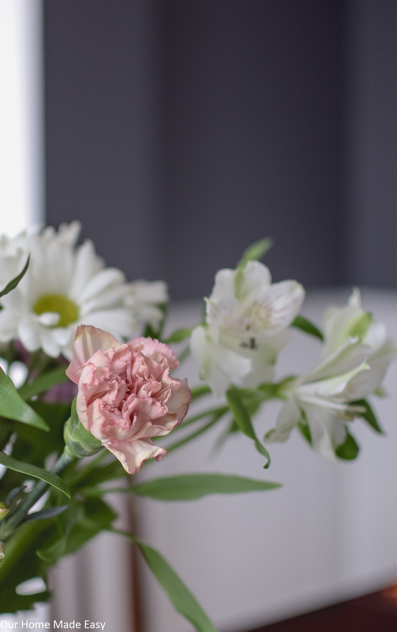 Fresh spring flowers, white daisies and pink carnations