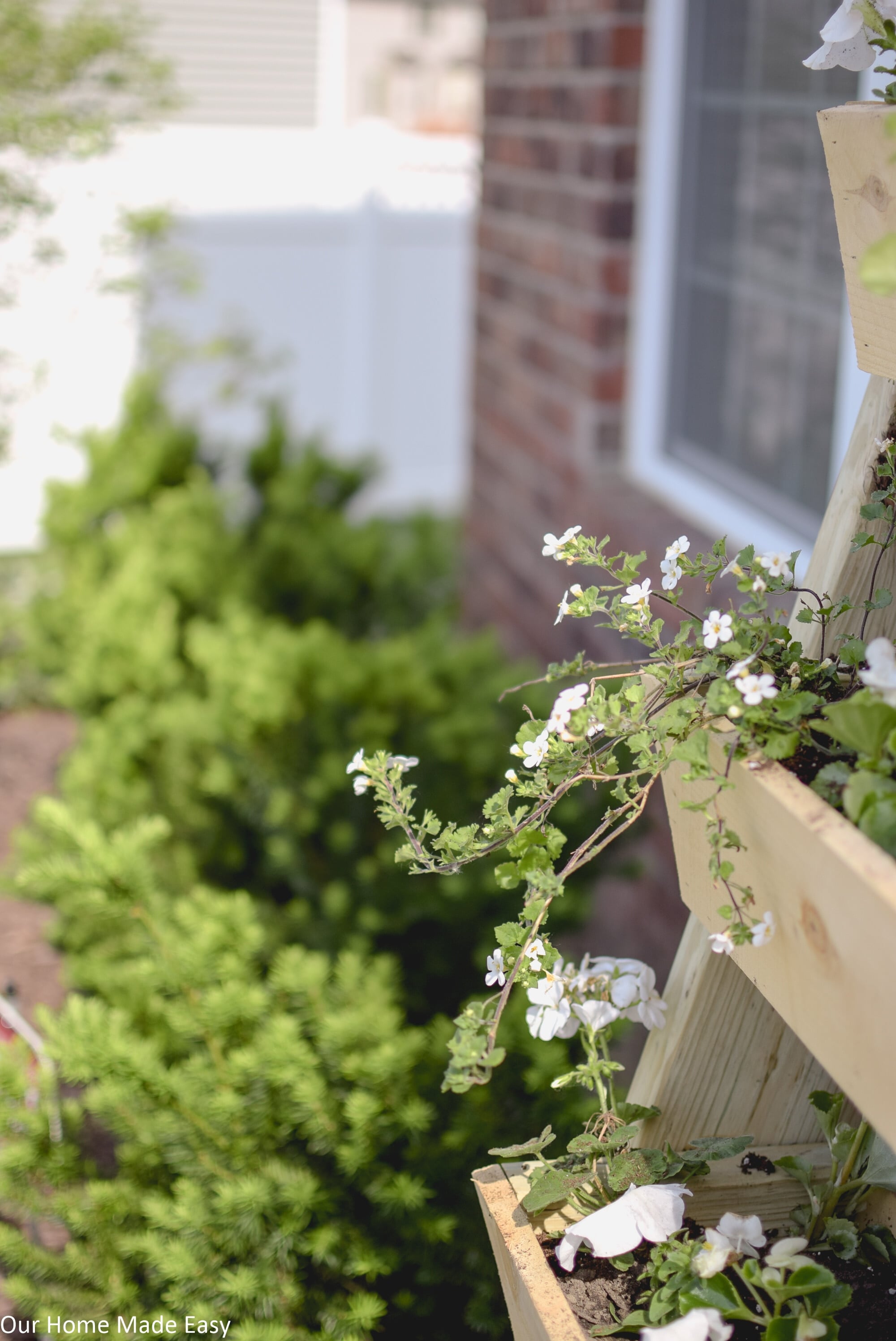 This DIY cedar latter planter is perfect for small plants, herbs, or flowers!