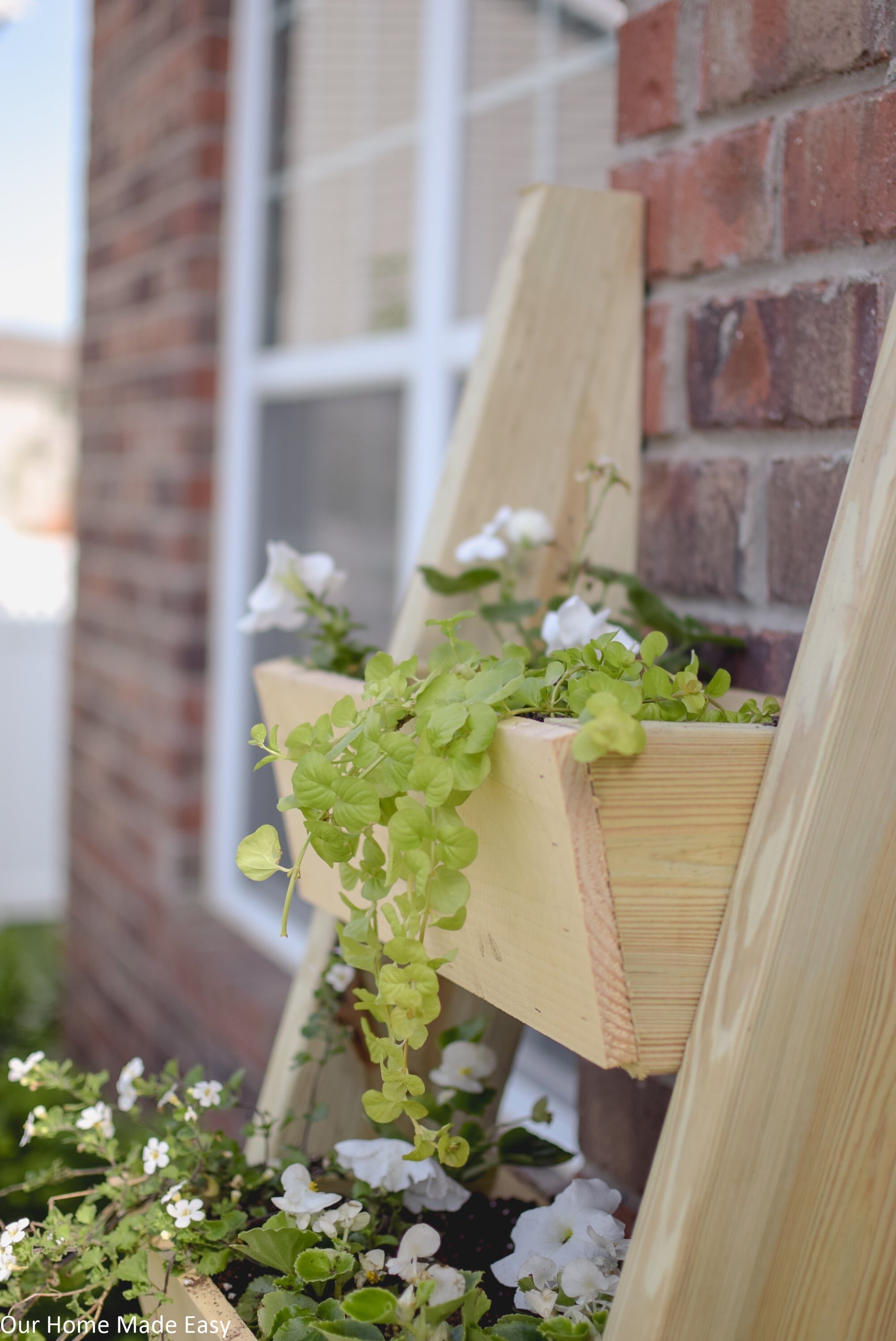 This cedar ladder planter is an easy DIY that doesn't require much woodworking skill