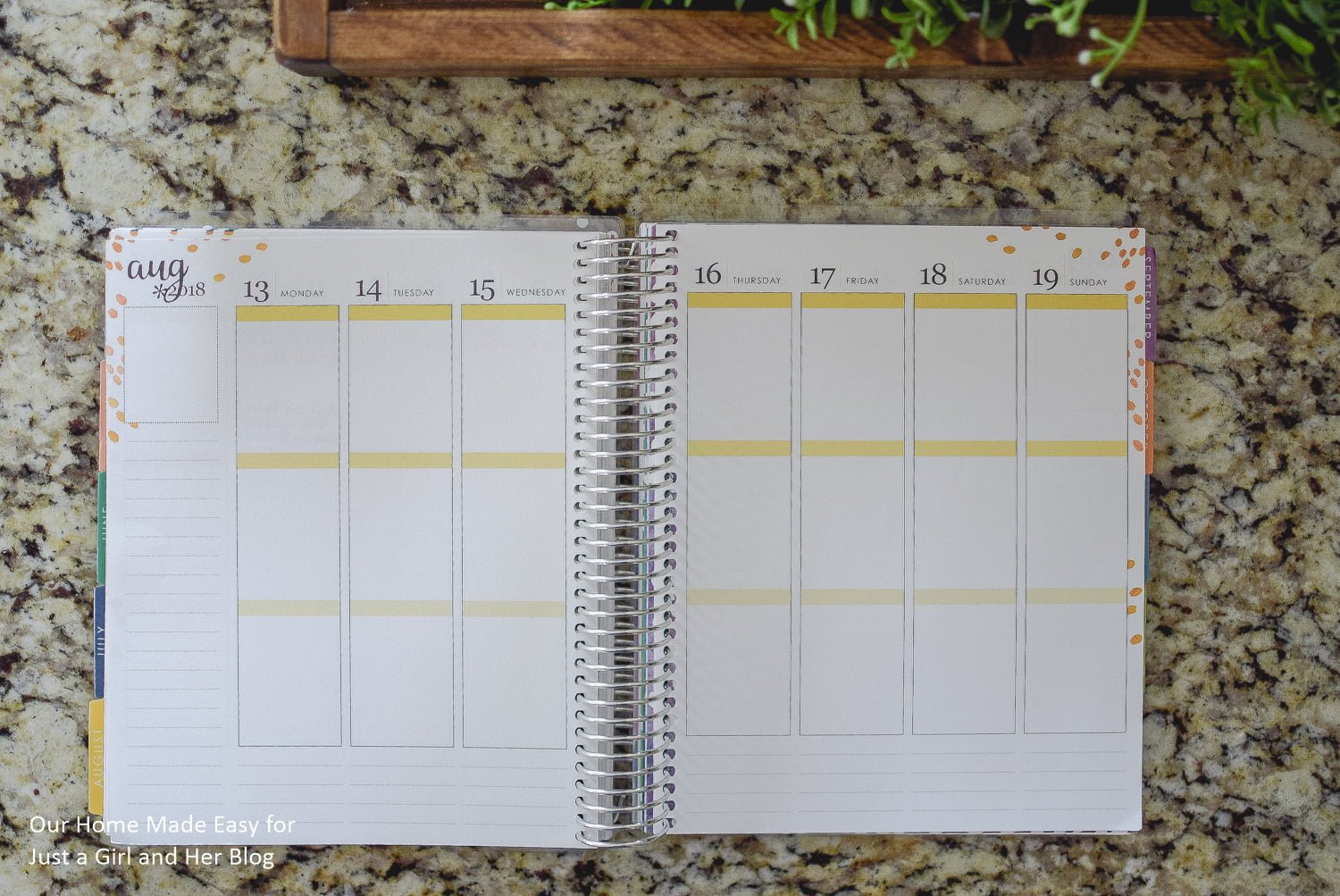 Erin Condren Vertical Planner