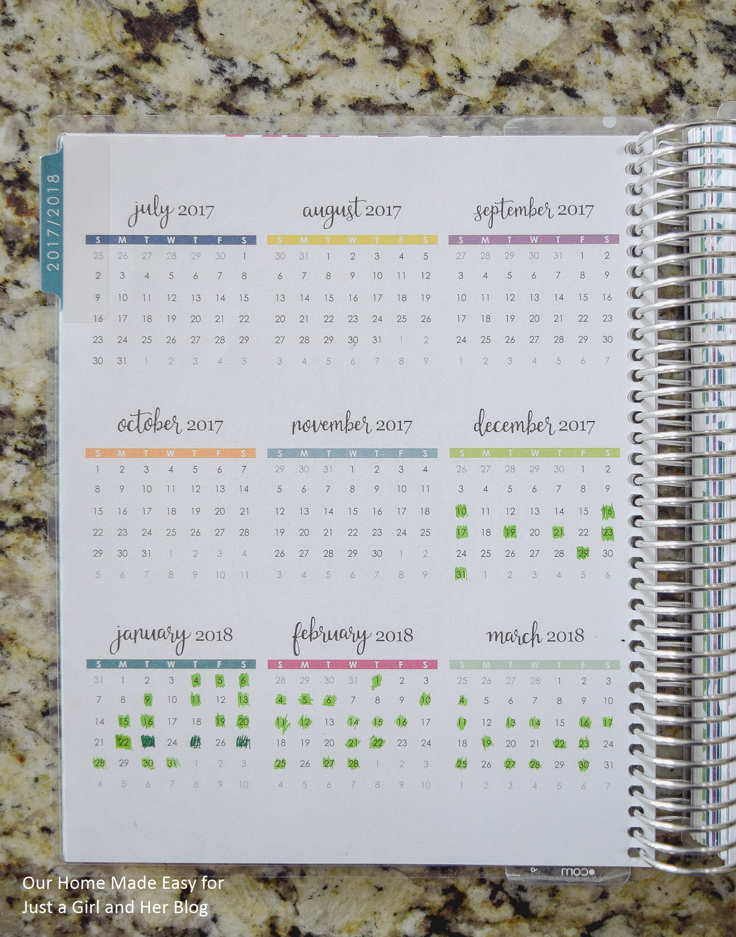 Brilliant Idea for Using the Year at a Glance Planner Pages