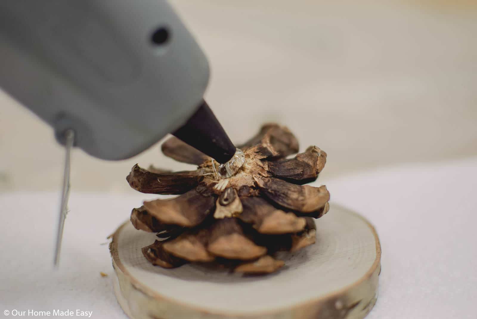 Use a hot glue gun to attach the pinecone slice to the wood slice