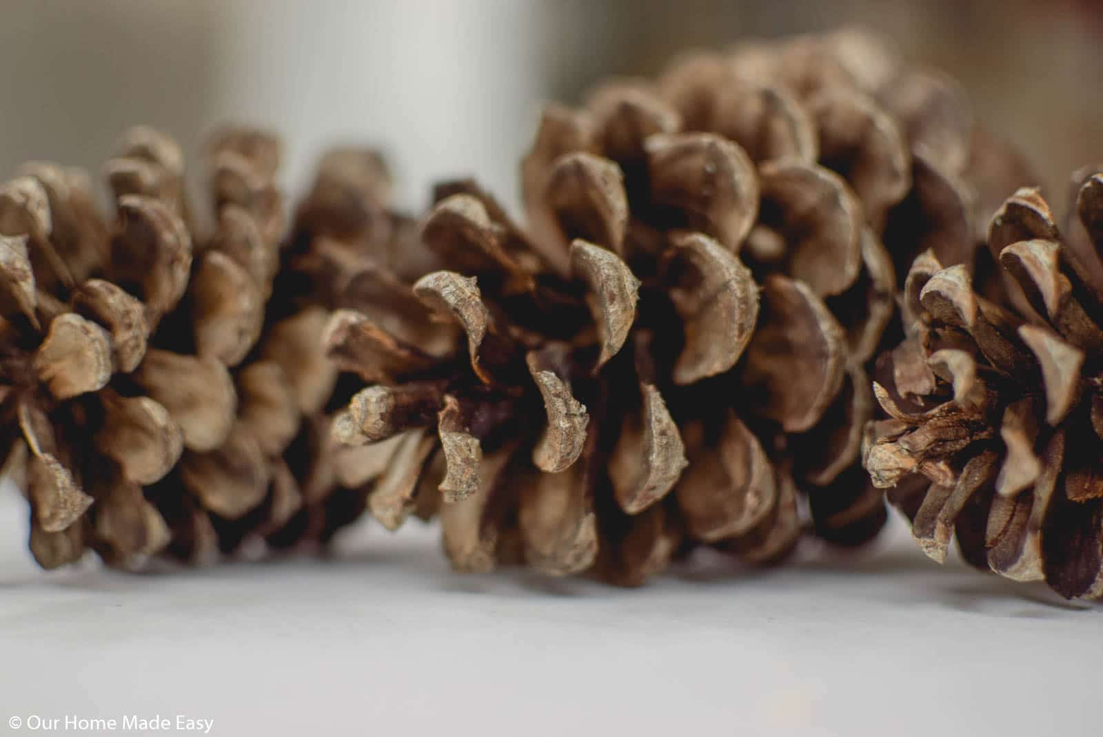 Collect pine cones in your own yard or pick up a few from your local craft store for just a few dollars