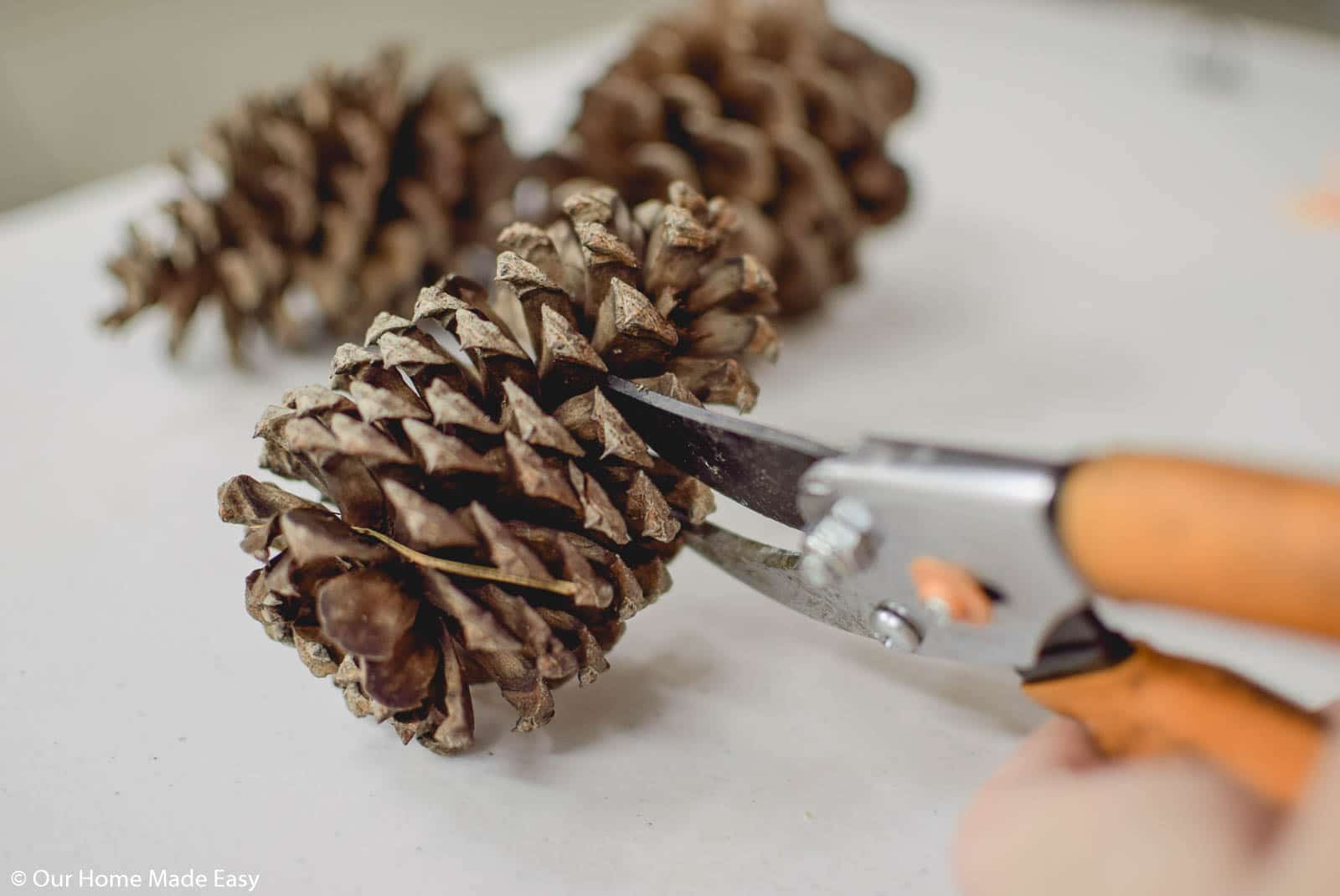 Use an industrial crafting scissors to cut the pine cones into slices