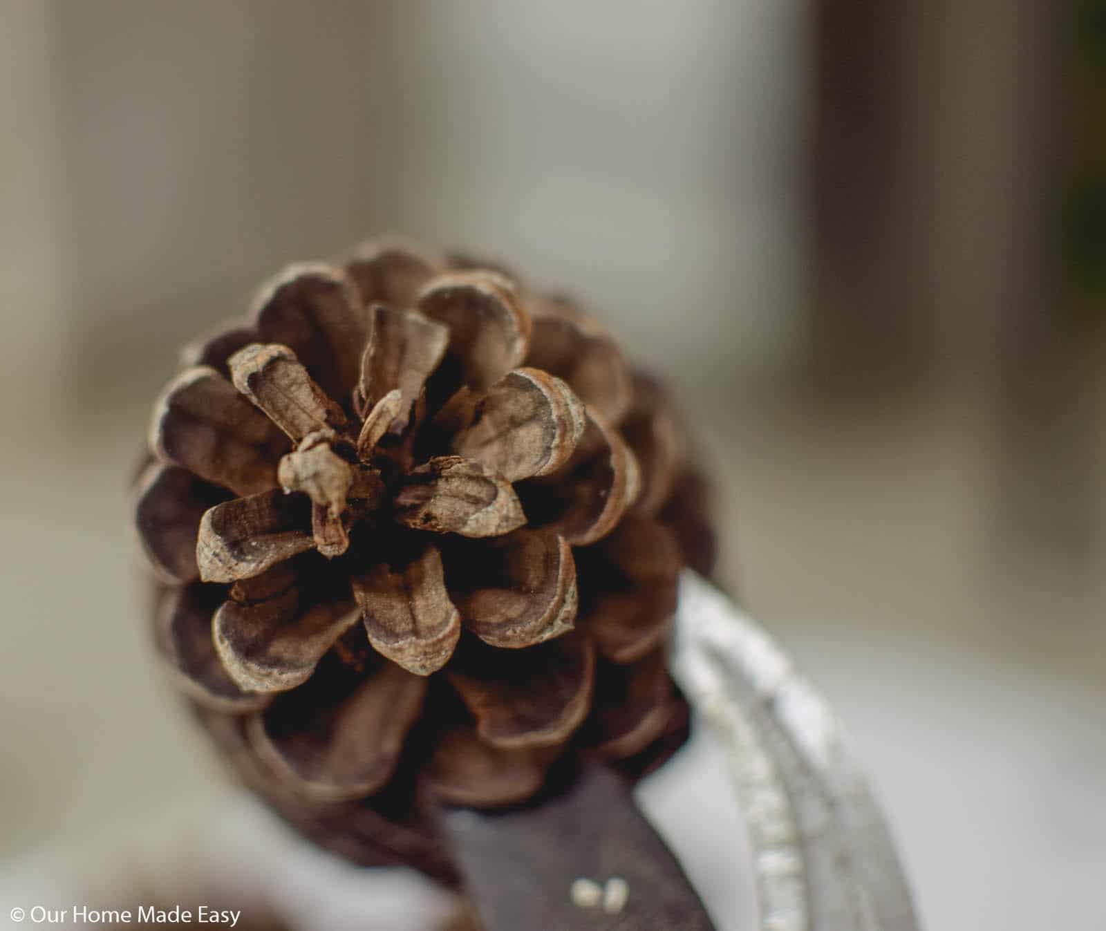 Cut the pinecone into slices based on the size you want on your wood slide ornament