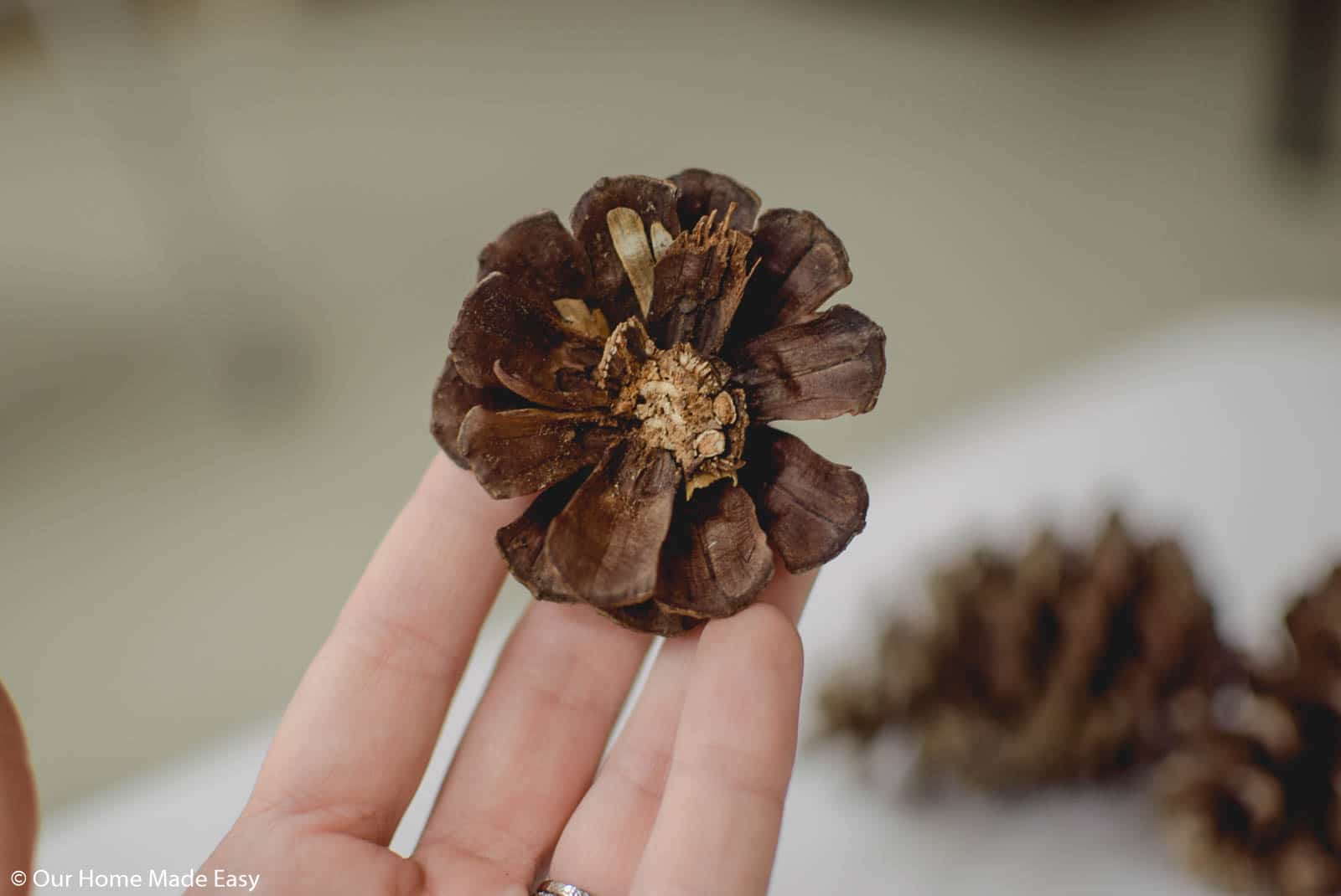 Sliced pinecones add a rustic touch to these DIY wood slice ornaments