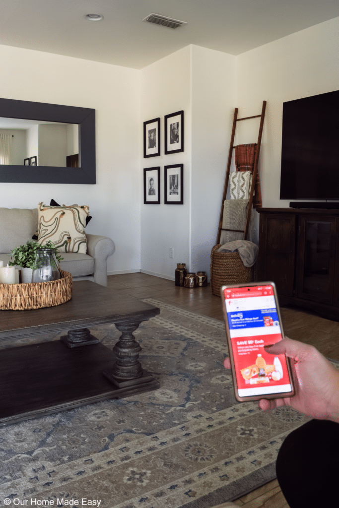 Is Grocery Delivery Worth It? 10 Tips for Grocery Shopping Online Our Home Made Easy