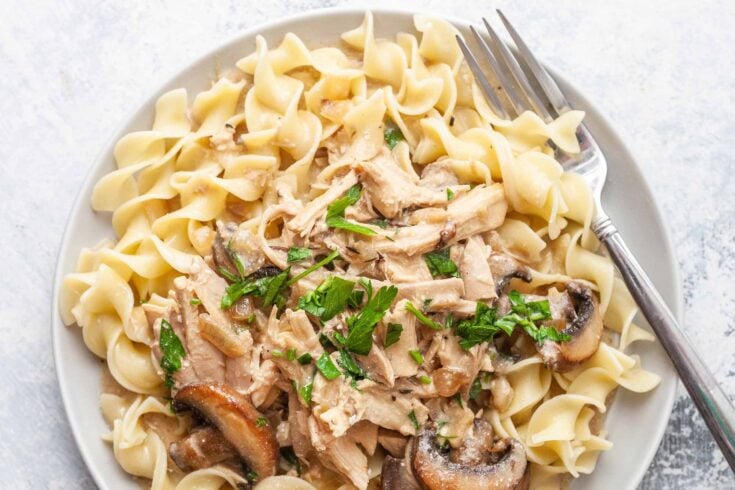 Rotisserie-Chicken stroganoff