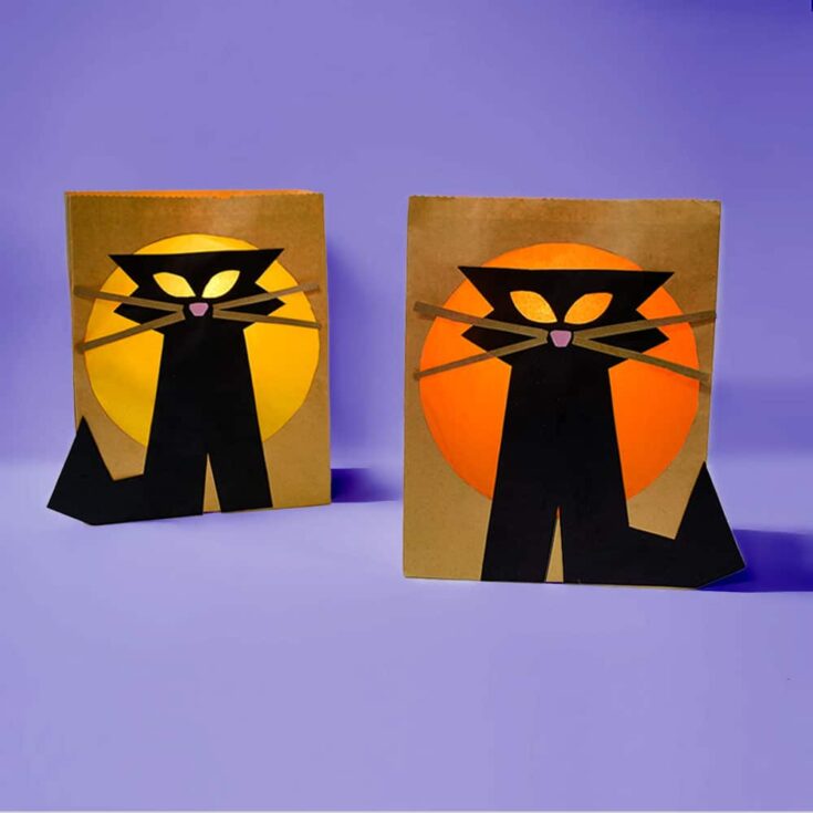 Image for DIY Black Cat Halloween Luminaries