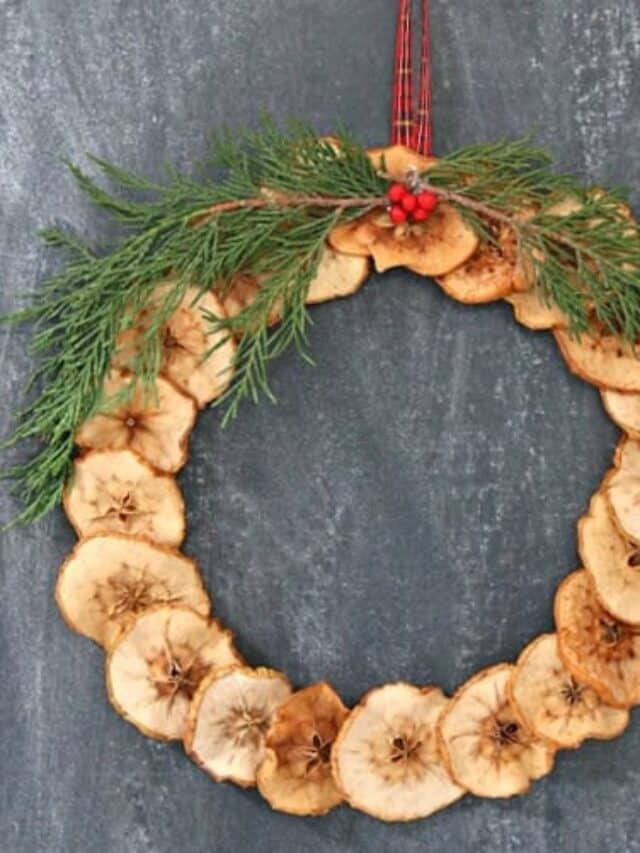 30+ DIY Christmas Wreath Ideas