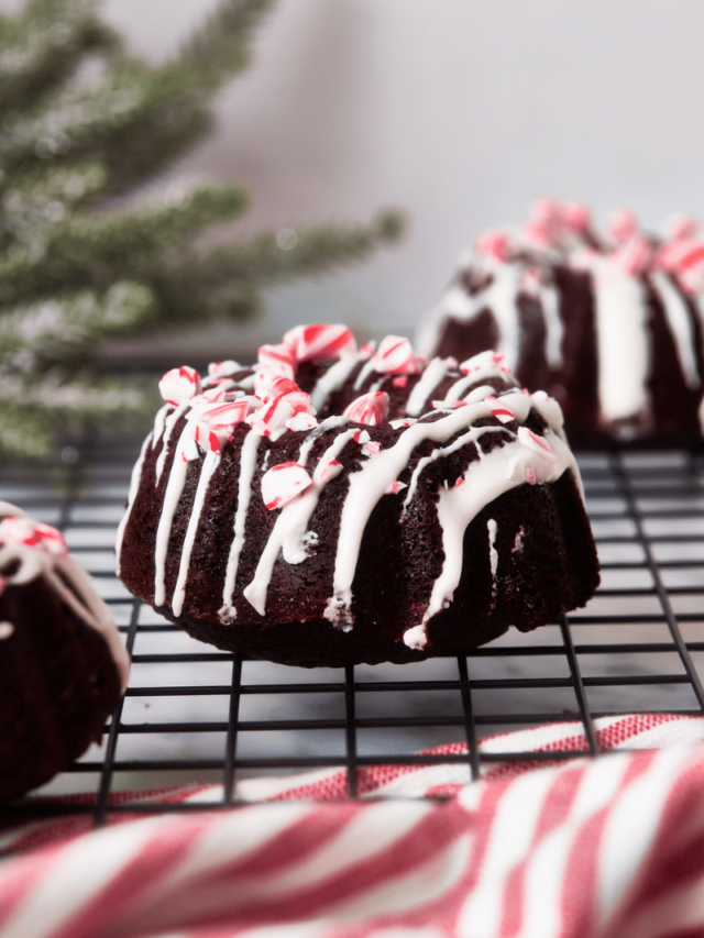 Mini Chocolate Peppermint Bundt Cakes