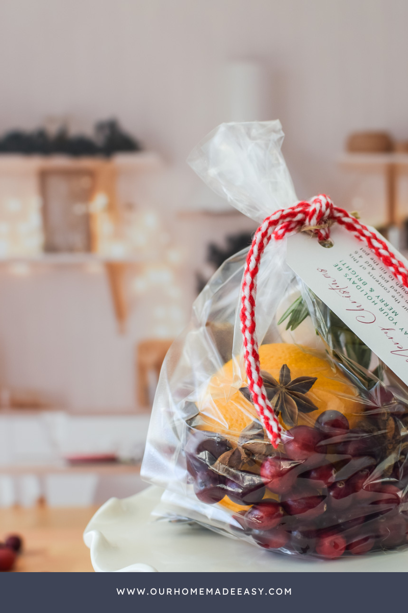 Christmas Simmer Pot Printable Gift Idea