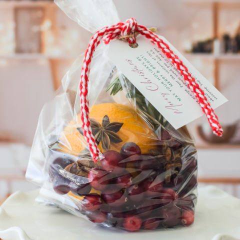 Free Christmas Simmer Pot Printable &amp; Gift Idea – Our Home Made Easy