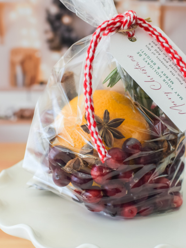 Christmas Simmer Pot Printable on stand