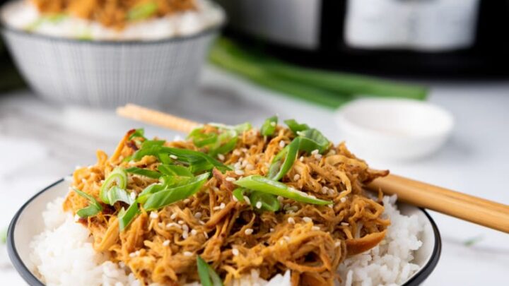 Image for The Best Slow Cooker Honey Garlic Chicken Recipe