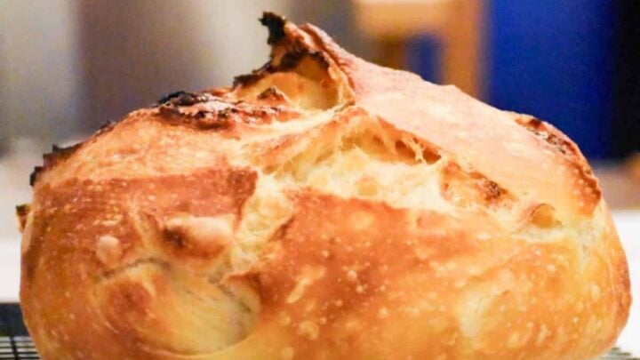Image for Sourdough Bread With Roasted Garlic and Parmesan Cheese