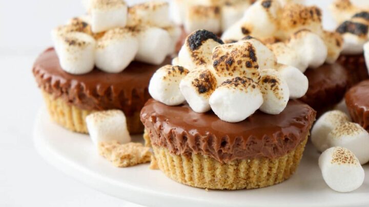 Image for No-Bake Mini S'mores Cheesecakes