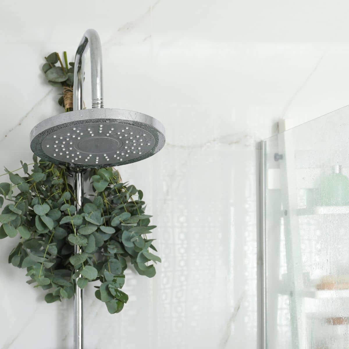 eucalyptus in shower
