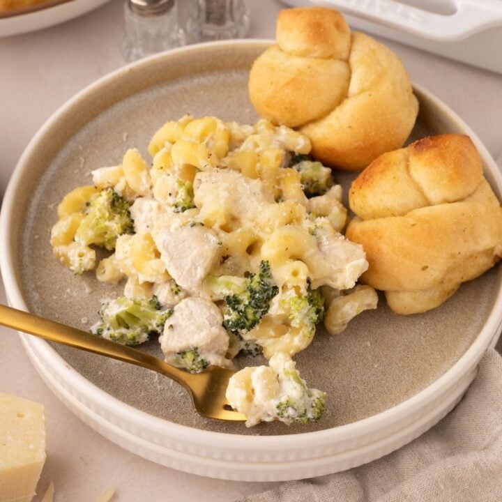 Chicken and Broccoli Pasta finished on dinner plate