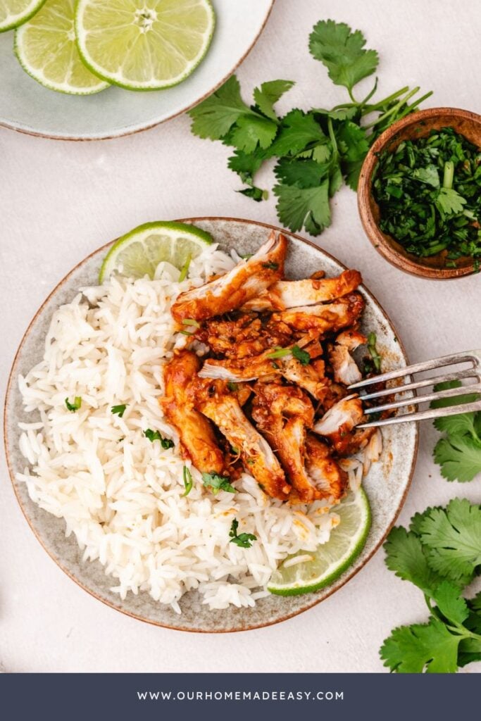 finished sliced glazed chicken with rice