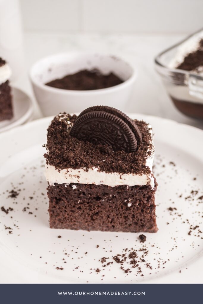 slice of homemade Chocolate tres leches cake with homemade whipped cream